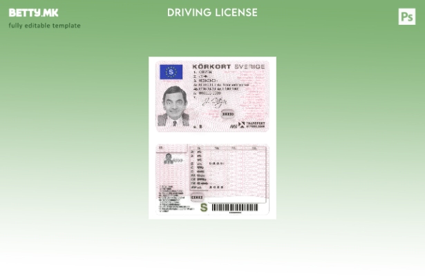 Модерен стил Sweden DL ( ) шаблон